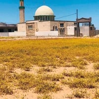 القوسيات • ٢٠٠م • واجهة ١٢