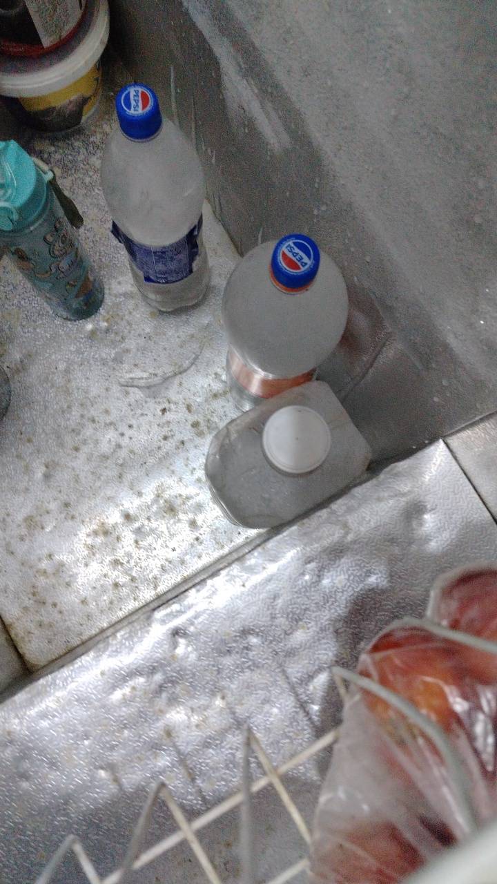 مجمدة • نضيفه حيل • حجم جبير