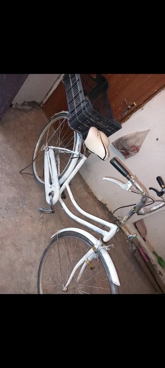 بسكليت • مقاس ٢٦ • نظيف