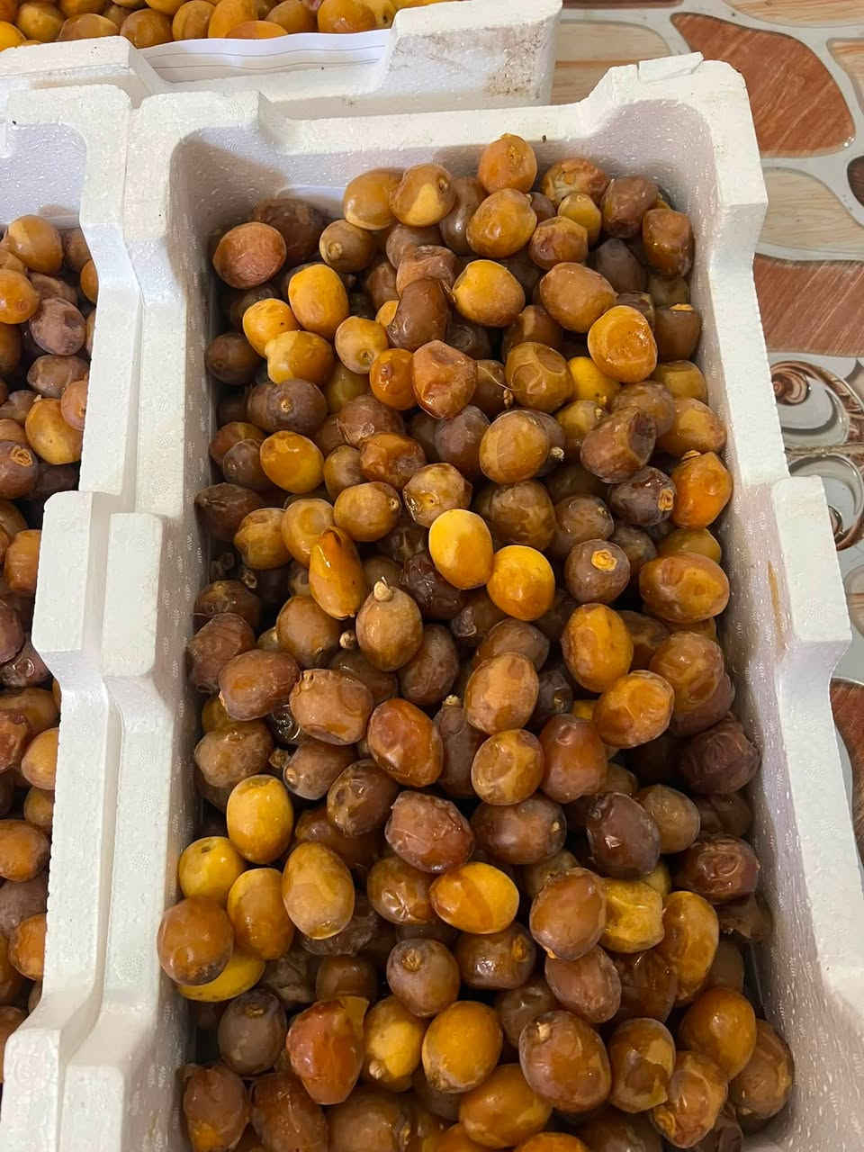 برحي • درجه أولى • توصيل