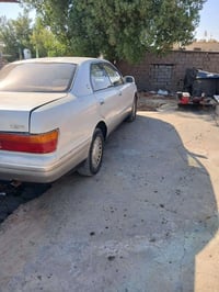 كراون بطه • ١٩٩٣ • بصرة جبيله