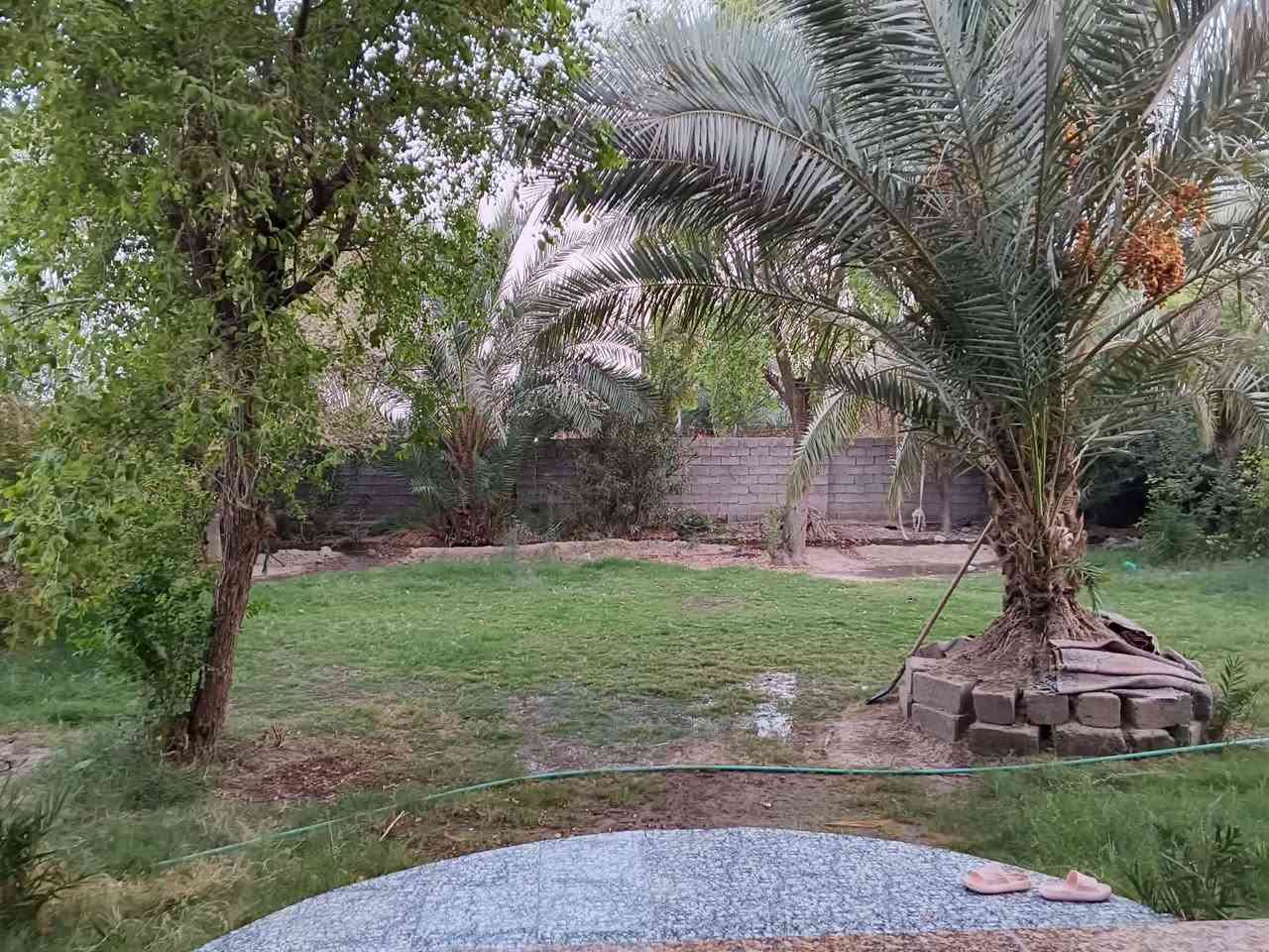 مزرعه معه دار حديث البناء زراعي  ومسيجه وكامله خدمات من تبليط للباب ماء مستوصف صحي البيت غرفتن وصالتين ومطبخ واستقبال وصحيات داخليه و خارجيه تبعد عن السوق ابو غريب خمس دقائق واجت البيت 12م ونزال12البيت مطبك كرانيت داخل وخارج للتفاصيل أكثر اتصل أو راسل واتساب ***********
