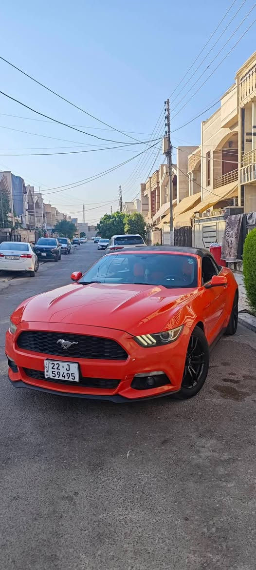 ايكو بوست • ٢٠١٦ • رقم اربيل