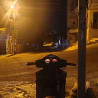 سكنس فحل • ١٥٠ • جاهزه