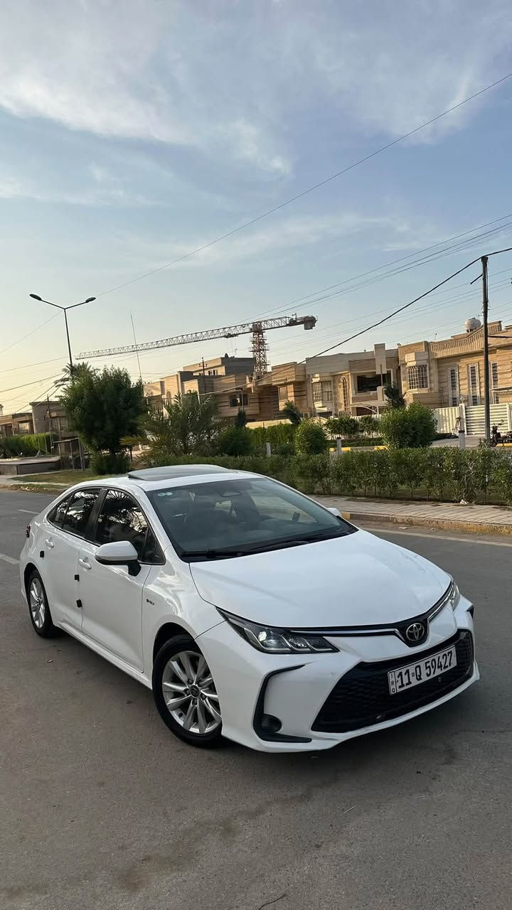 كورلا • ٢٠٢٥ • رقم بغداد