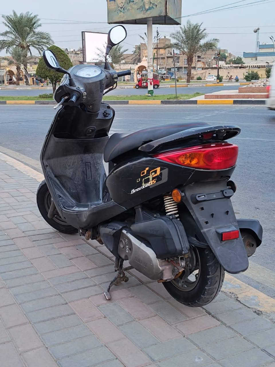 ببغاء • كفالة عامه • الطالبية
