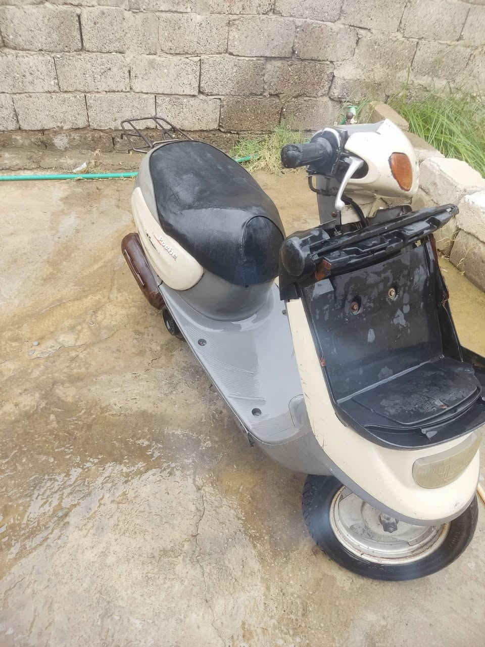 بزون • نفخ • شغال