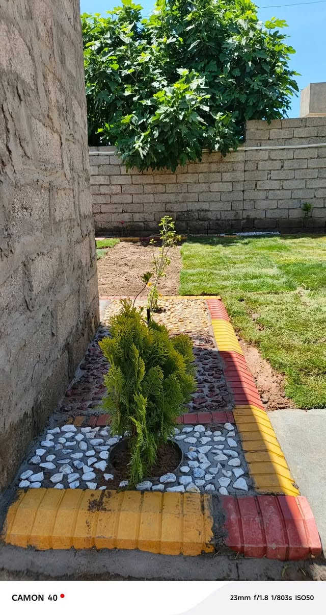 السلام عليكم شغل حدائق تطبيك شتايكر تطبيك حجر ملون زراعه ورود زراعه ثيل تصميم كامل لل حدائق رقم *********** @جنوب الموصل ناحيه الشوره
