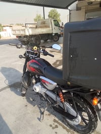 بوكسر جبلي • ٢٠٢٥ • مرقمه