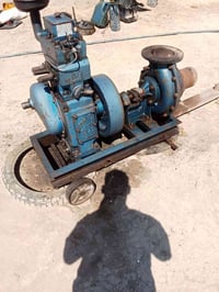 07818012037