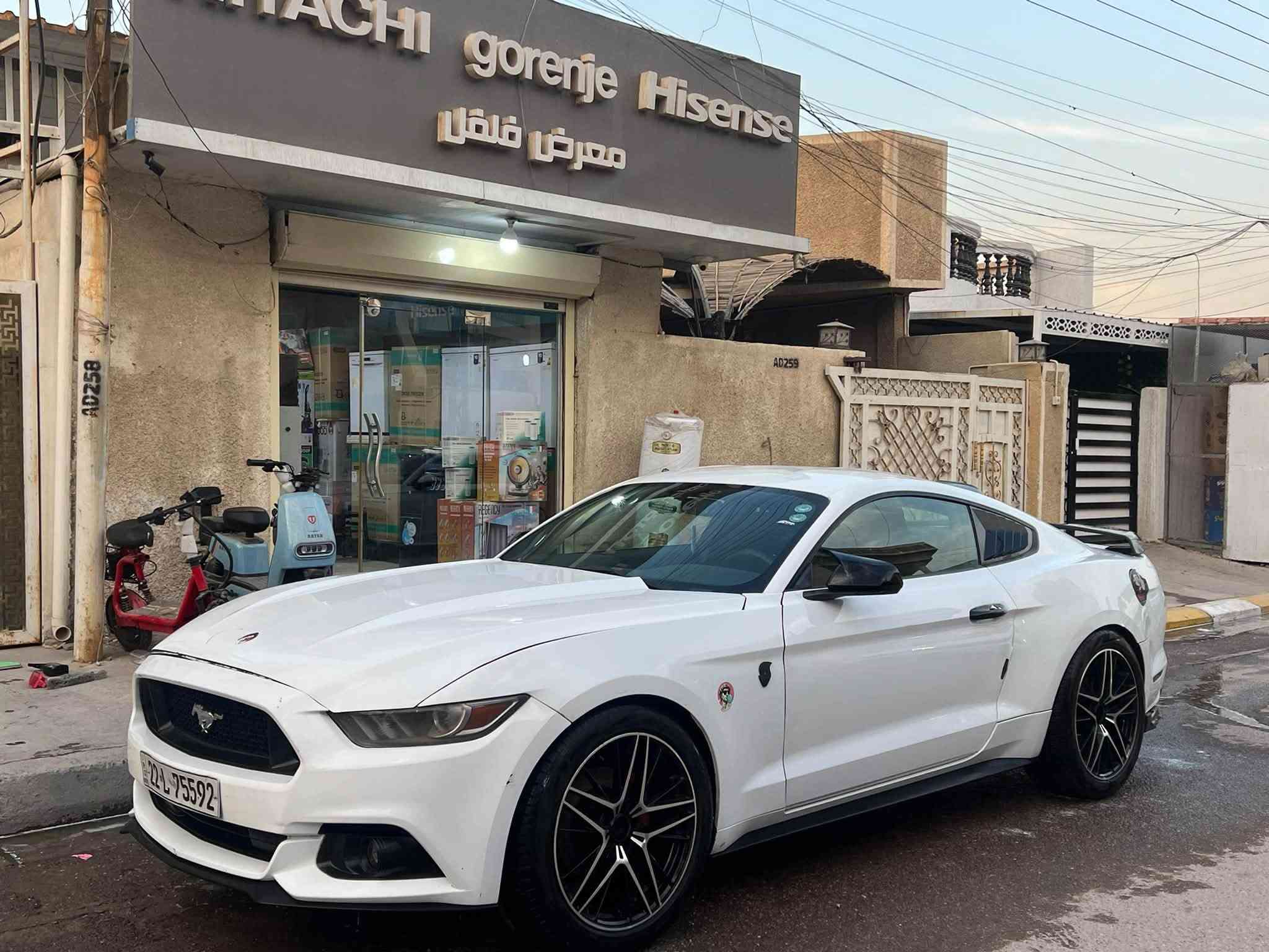 موستنك • ٢٠١٧ • ضرر