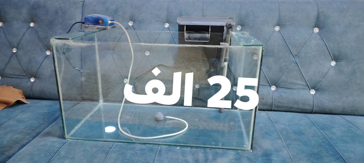 بانكه عاموديه وحوض سمك مع ملحقاته قياس 60 العرض والطول 35 للبيع اسعار مكتوبه عليهم
اتصال ***********
