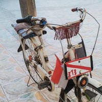 باسكل • مقاس 26 • أبريكات أمامية وخلفية