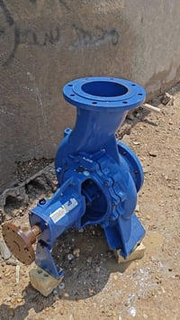 خنزيره • ٨/٨ • بغداد
