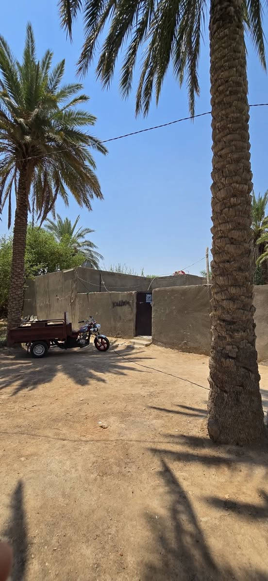 الديوانية السدير • ١٠ دونم • ٣ بيوت وبستان