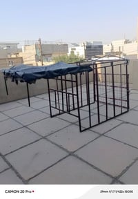 جنج ستوته