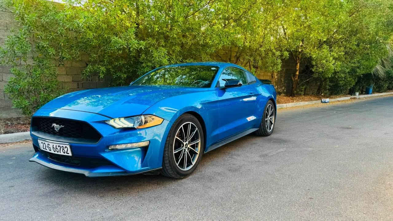سلام عليكم 
موستنك ايكو بوست موديل 2019
بجم كبس حادثها جاملغ خلفي وباب بدون دواخل بدون ايرباك 
صور الحادث مرفقه 
مواصفات الايكو المعروف 
عليها ادامه كامله 
صدر امامي خلفي جديد
تخم تاير 
رقم وهزه وسنويه جديده بسمي ثانيوم تحويل
السعر 133$ بيها مجال بسيط 
مكان السياره بغداد الغزاليه شارع مدير الامن 
*********** بغداد, العراق
