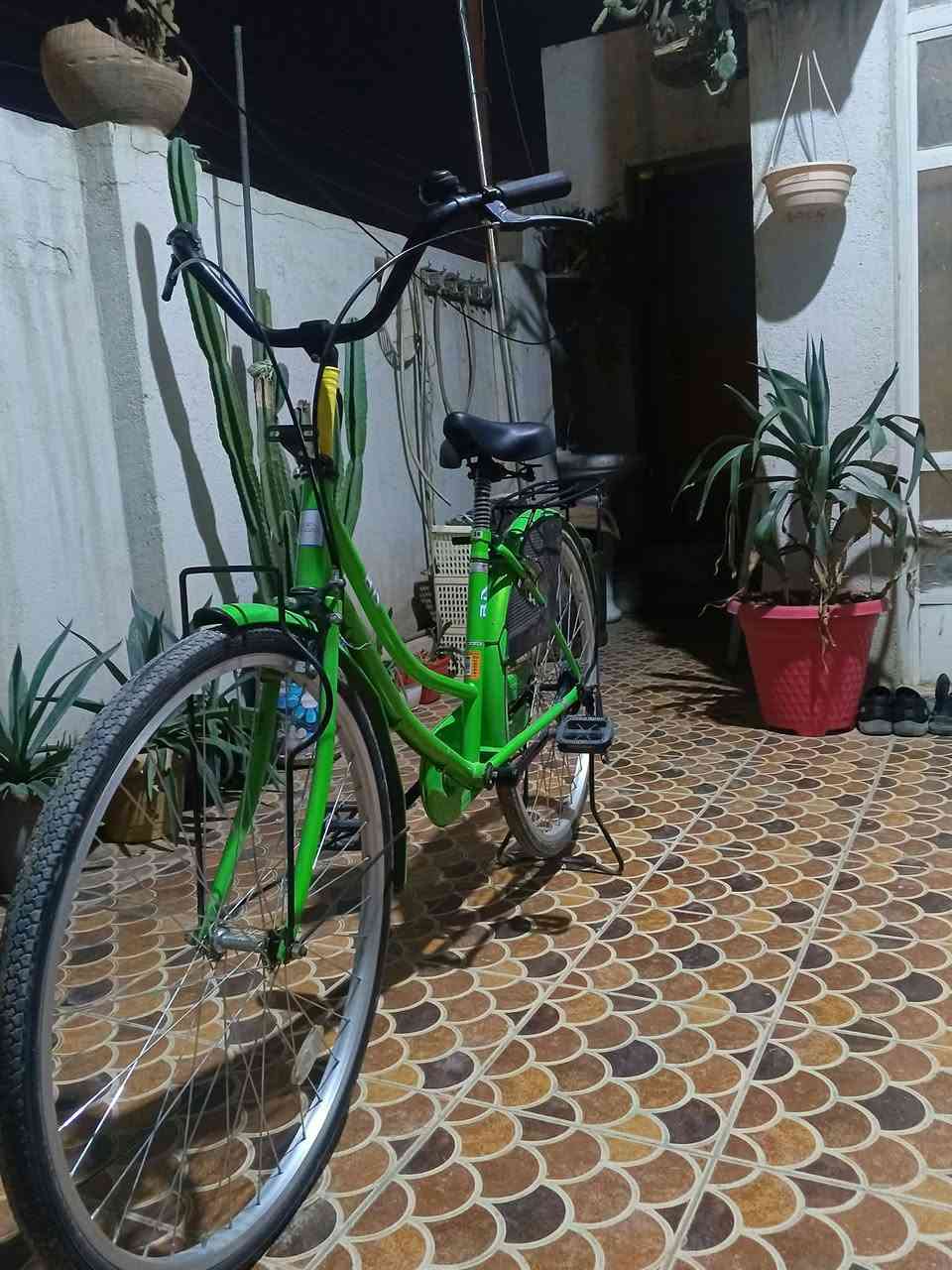 باسكل • جديد • بابل