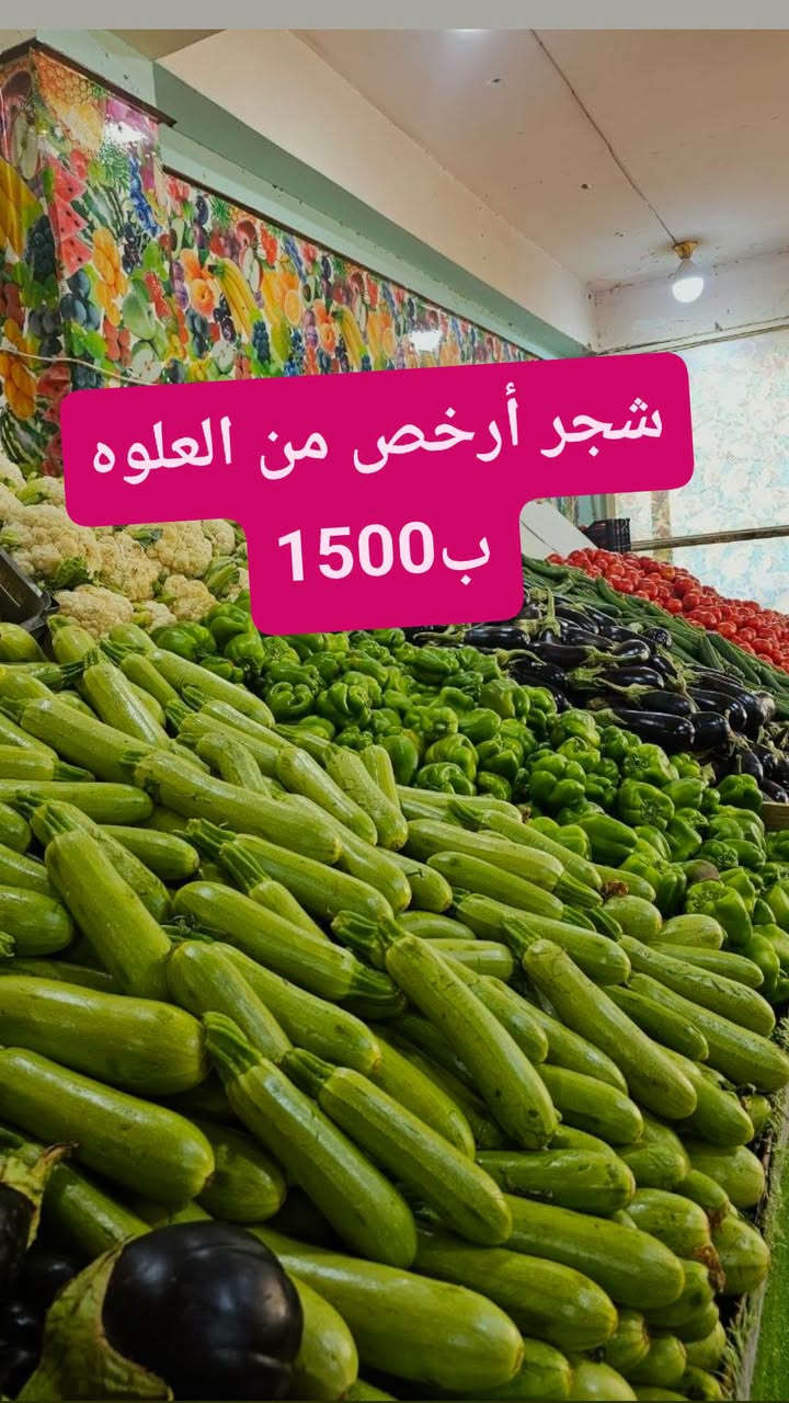 موز أكوادور • فطر فرش • توصيل