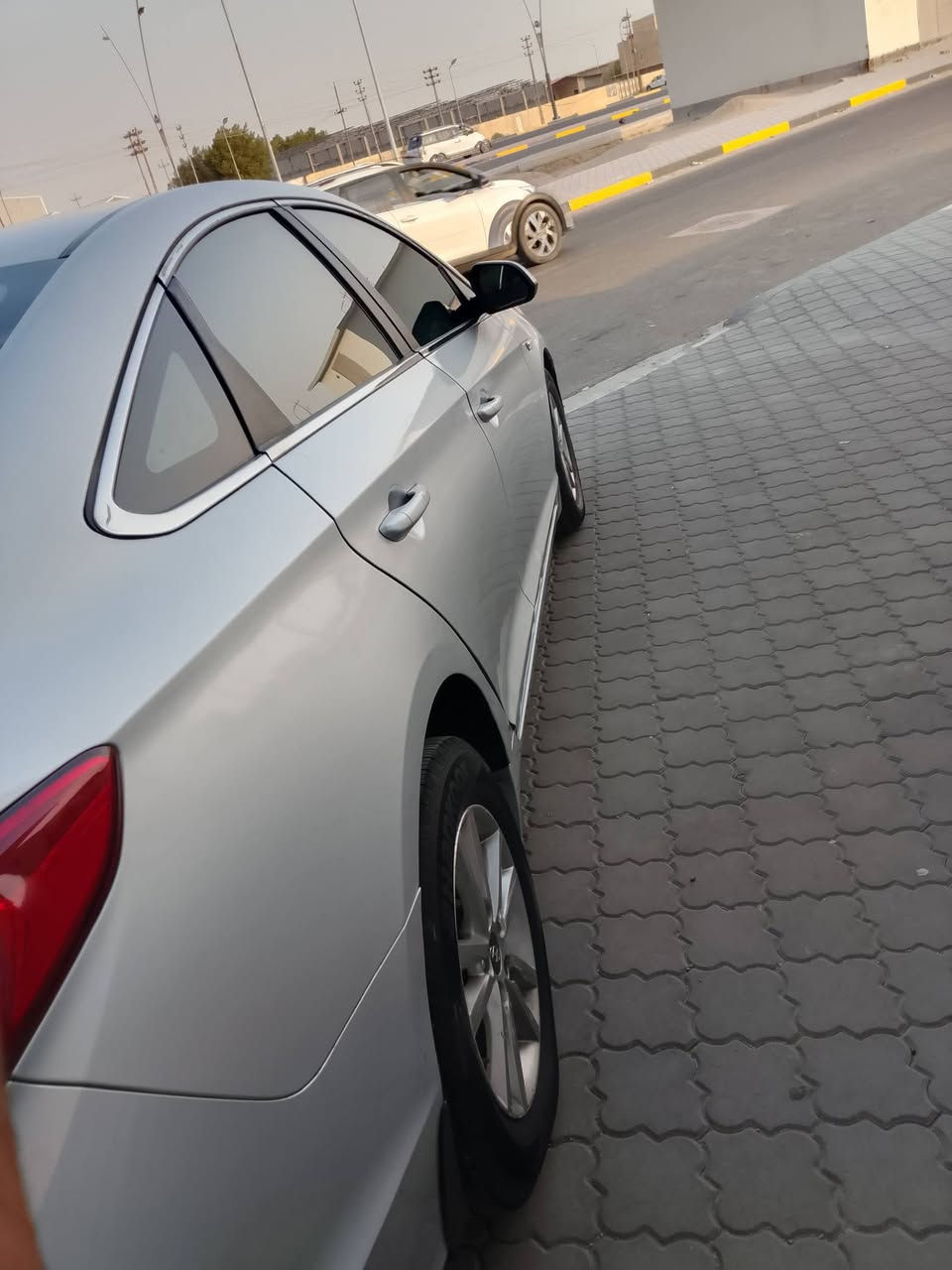 ٢٠١٨ • مكينة الفين • كشنات جلد