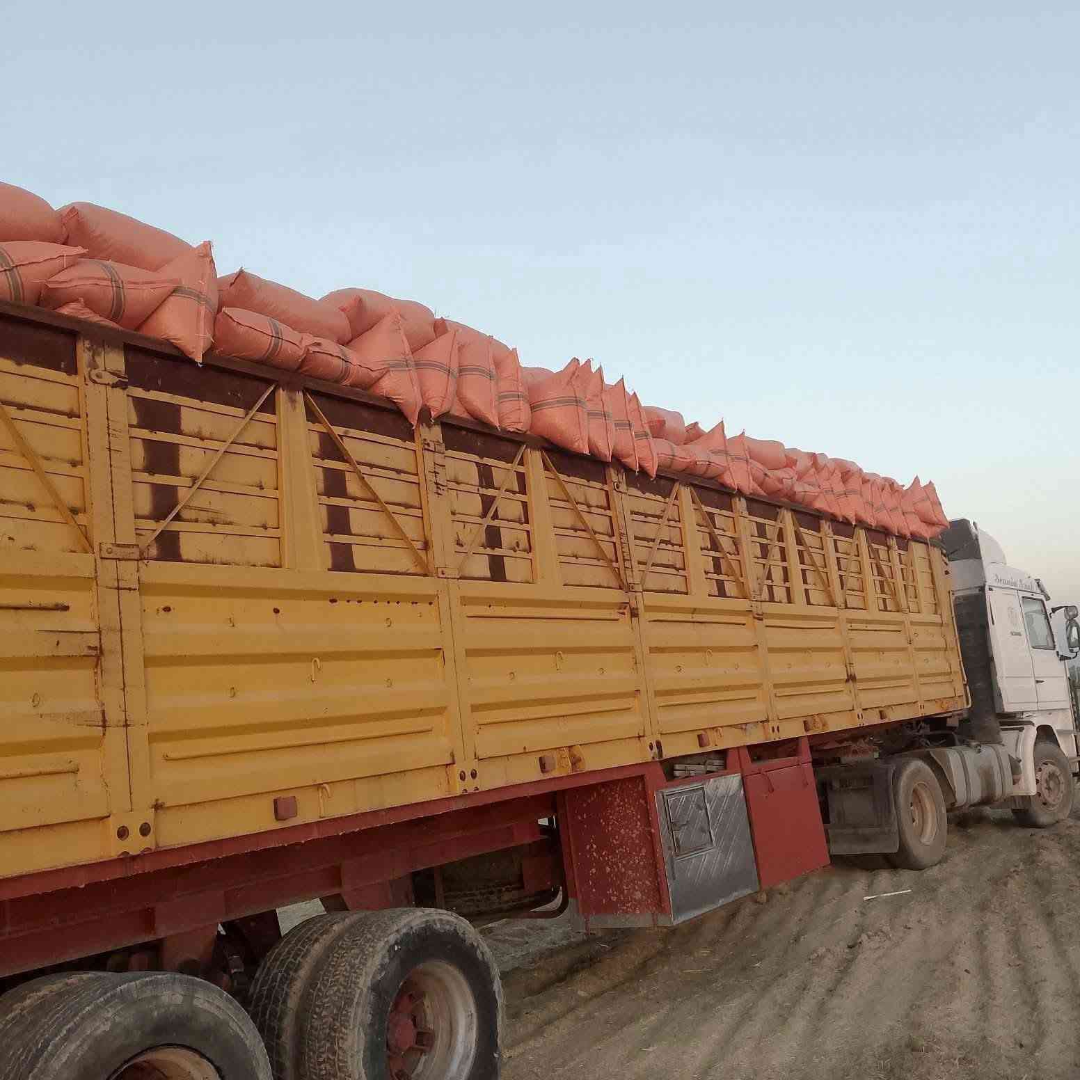 السلام عليكم ورحمه الله وبركاته
تبن للبيع شليف أبو 60 سعر الزوج مطروح بالمكان 2500 (***********)

نص مكتوب في الصور:
- السَّلَامُ عَلَيْكُمْ
- يوجد تبن للبيع - شليف ابو 60
- ترس فول - جودة عالية
- السعر بالمكان: 2,500 د.ع
- توصيل متوفر لجميع محافظات العراق
- +964 781 733 5145
- تبن شليف أبو 60 (ترس فول) السعر بالمكان: 2,500 د.ع يوجد توصيل لجميع محافظات العراق للتواصل والطلب: 5145 733 781 964+
- realme 11 Pro+ 5G