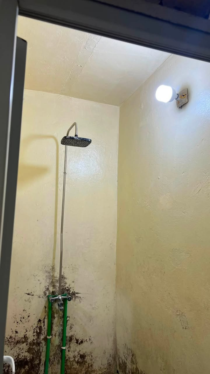 السلام عليكم  نصف قطعه للبيع  مدينه الصدر قطاع 27    على ساحه   لبيت عكاده نضيف كلش. ومرتب 
رقم الهاتف /***********/ اهلن وسهلا 🤎
