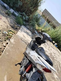 ماكس عدلة • ختم واحد