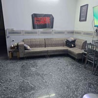 تخم للبيع مكانه المشتل بغداد 07752385268 الرد فقط ع واتساب