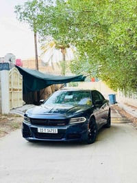 ٢٠١٧ • فول عده • رقم بغداد