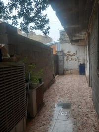 الزعفرانية بغداد • ١٠٠م • سند ٢٥ زراعي