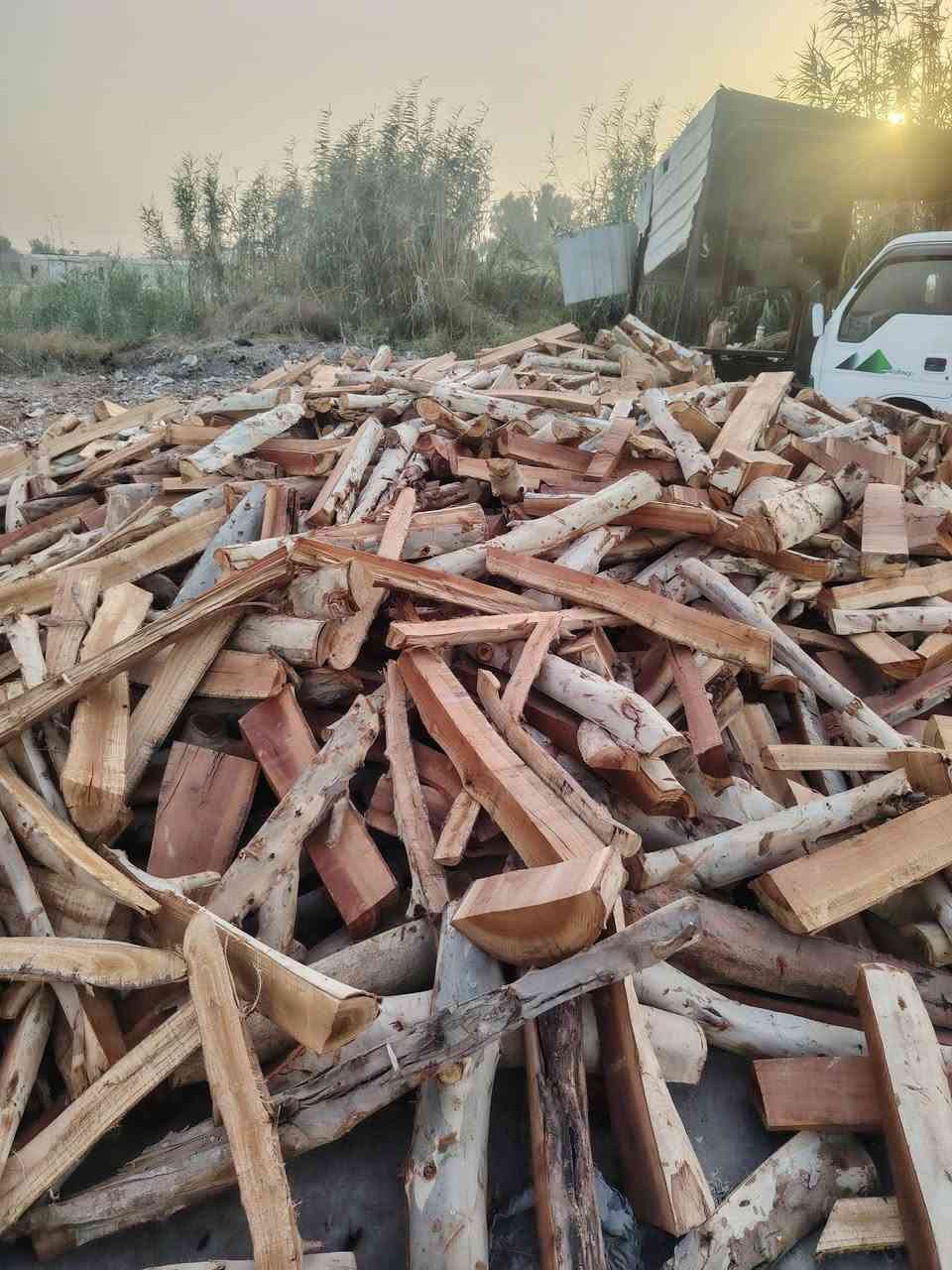 السلام عليكم يوجد جميع الحطب المشرح سمك دجاج واي كميه اكدر اوفره التواصل ***********./*********** ويوجد وتساب@
