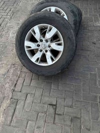 ويل ١٨ • باترول بلادي • ما بيه لحيم