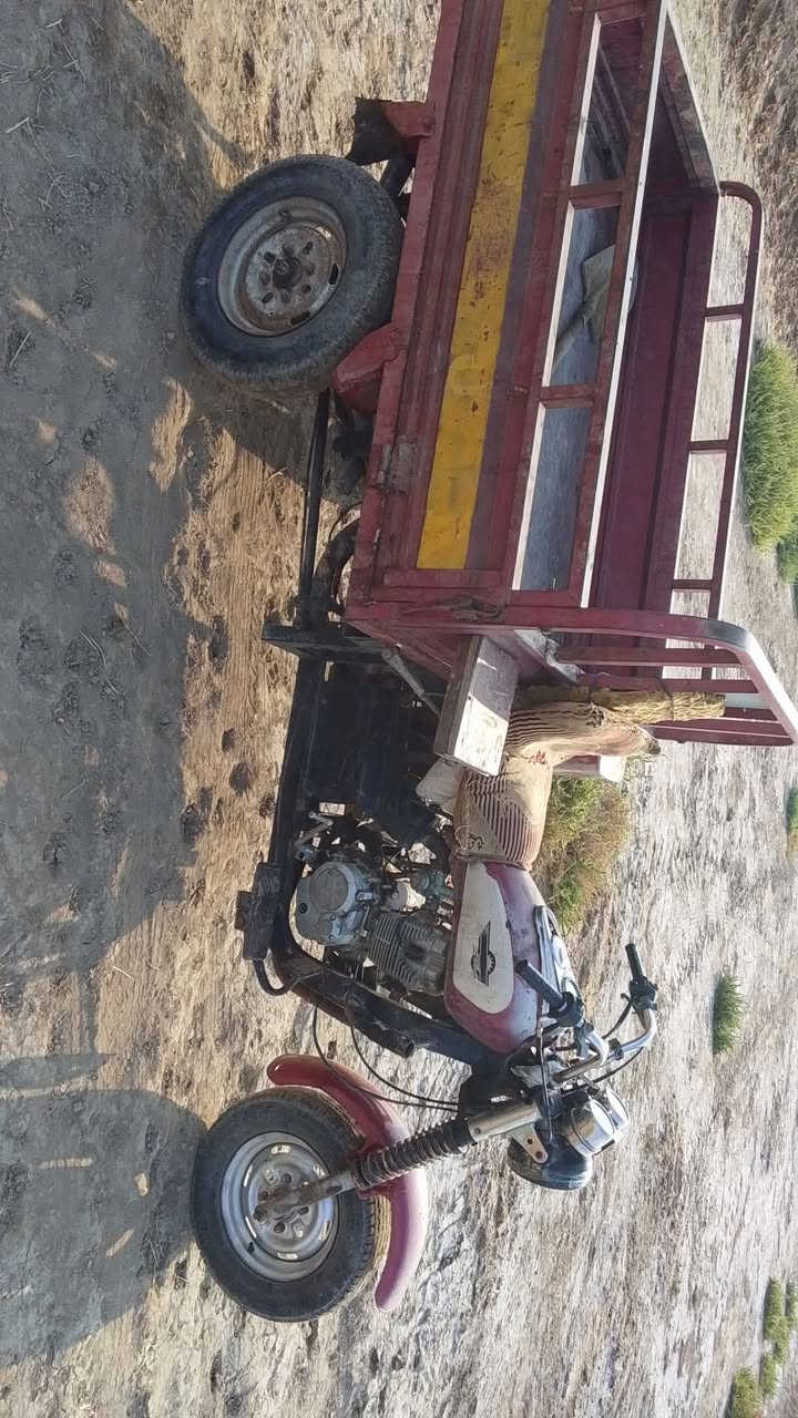 ستوته • للبيع • خاص