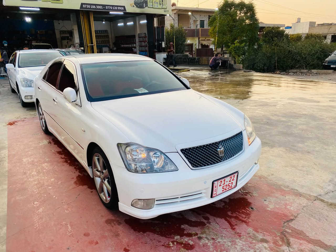 ٢٠٠٥ • صغيرة • مشي قليل
