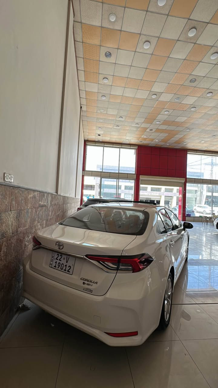 Toyota Corolla 2025 Hybrid 🔋
بدون دعم و صبغ 📦✅
25 كم ✅
سعر : 170$ ورقه قفل ✅
مرقم جاهز ✅
📞 *********** دهوك, العراق
