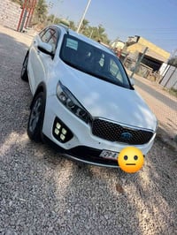 فول ماعدا بنراما • موديل ١٦ • صبغ عام
