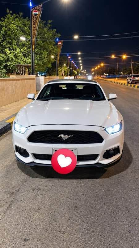 فورد موستنك  موديل 2017 
 للبيع 
ايكوبوست بريميوم اعلى فئة 
موديل 2017 
تيربو 2300
كشف شغال 
اللون ابيض
دشبول سبع الوان 
إشارات ترحيبية 
جناح خلفي 
مثبت سرعه 
قيادة ذاتية 
تشغيل عن بعد
أنظمة قيادة متعددة 
أناره ارضيه وجانبية 
شاشة كبيرة كار بلاي 
تبريد ثلج 
كشنات كهربائية تدفئة وتبريد 
تحكمات سترين 
بيهة جاملغ وبنيد وباب

***********

عنوان بغداد المنصور ١٤ رمضان 
السعر ١١٨ وبي مجال للشراي بغداد, العراق
