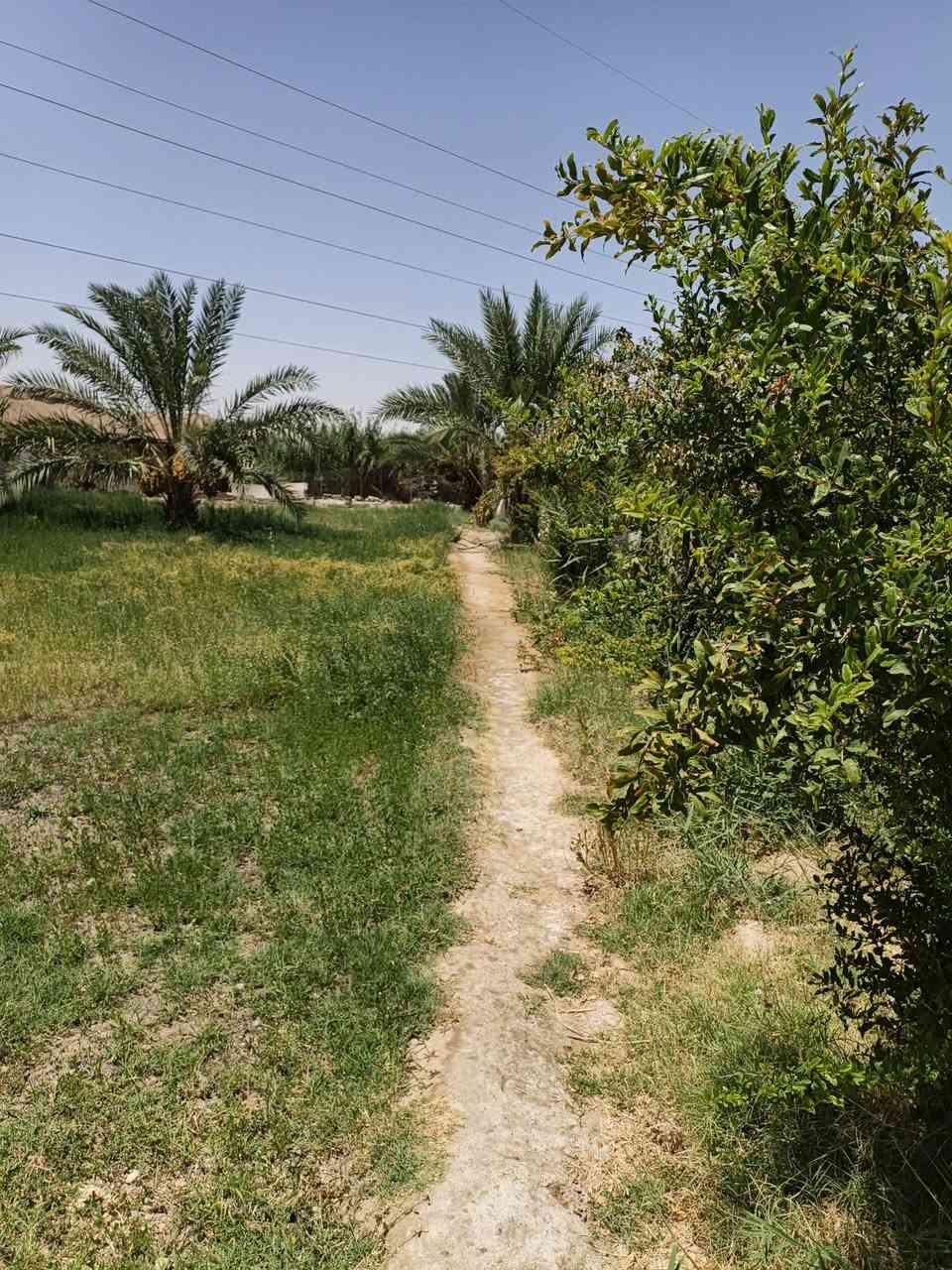 بيت للبيع • حديقة كبيرة • ١٥٠٠م