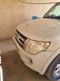 باجيرو • ٢٠١٣ • مكفولة باسمي
