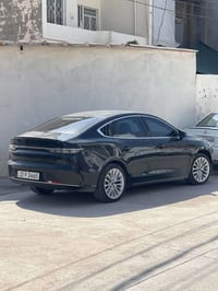 بي واي دي 30 • اربيل • رؤيه