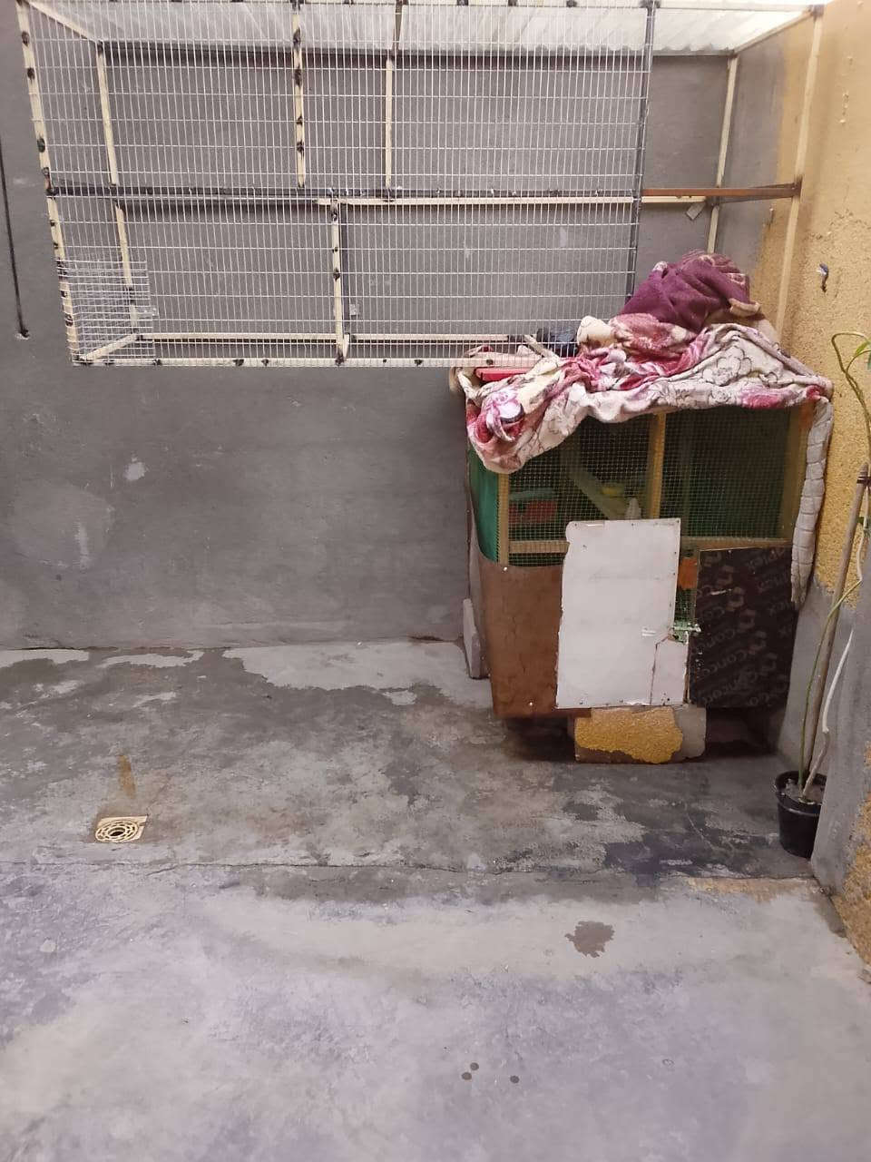 سلام عليكم قفص طيور الحب طوله 216 عرض 75 رتفاع متر  شغل نضيف وحديد ثخين قوي بابه موجوده عوزه صفحه وضهر ورضيه تصميم يرهم لطيور هم دجاج هم يشتغل *********** سعره 30
