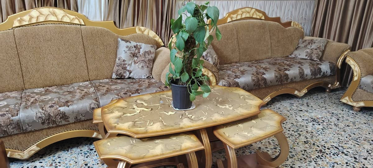 سلام عليكم تخم ملكي ١٠مقاعد سعر ٦٠٠  وبي مجال التواصل ***********
