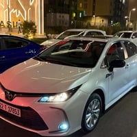 كورلا ساس • ٢٠٢٥ • رقم اربيل