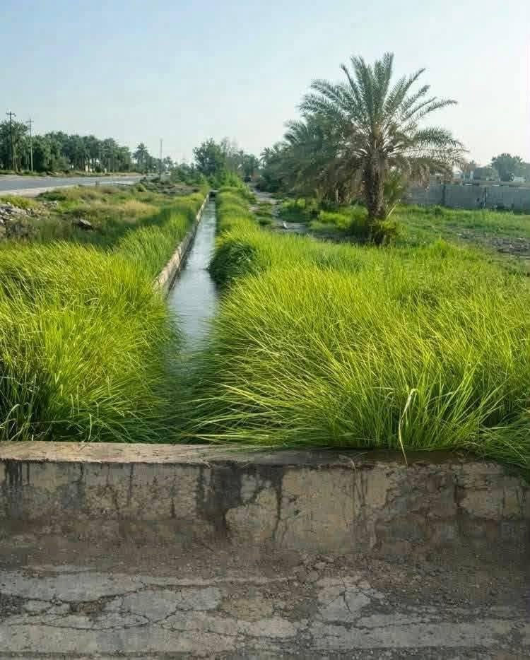 دونم طابو على ذراع نهر دجلة مباشرة بسعر 35 مليون فقط.
يتوفر 6 دونم للبيع، مع إمكانية شراء من دونم واحد 

فما فوق. 

✅ بجانب المزارع والشاليهات لأهل بغداد والكاظمية 

✅ جميع الخدمات متوفرة لكل دونم:

عامود كهرباء.

بوري ماء شرب.

ماء للسقي.

✅ مساحة كل دونم 50 × 50 متر.

✅ تبعد عن مدينة الكاظمية حوالي 15 دقيقة.

📍 العنوان: بغداد – التاجي – مجاور سبع البور – ذراع دجلة.

📞 للاتصال والاستفسار: ***********

