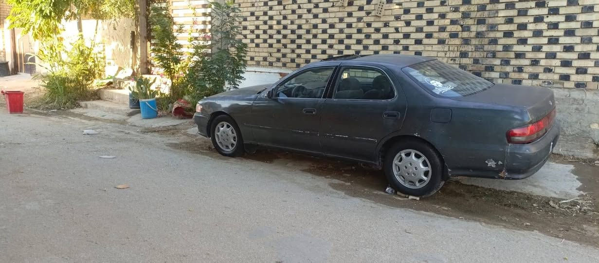 السلام عليكم كرسته رقم نكليزي بسمي تحويل ثاني يوم بيه ظربه فخذ السعر ب 47وبيه مجال حك الجيه   ***********
ما متواجد عل نت مكانه كوفه عباسيه
