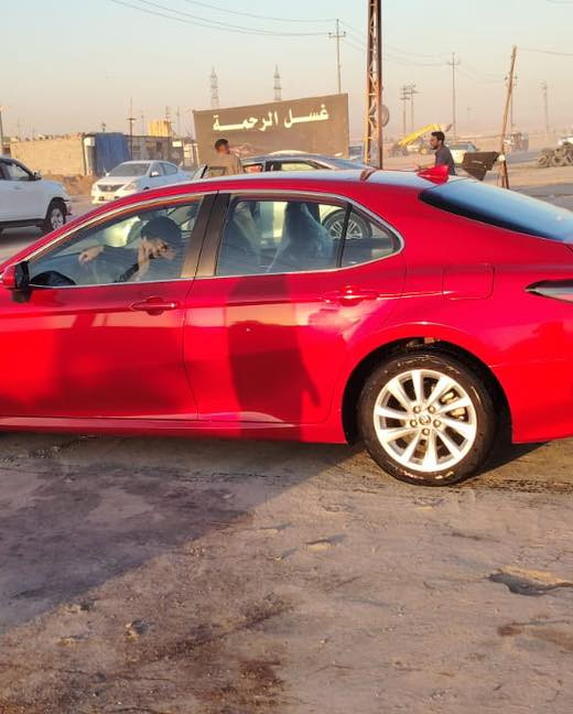 تويوتا كامري فئة LE موديل 2023
السيارة كلين ماشيه 52 الف 
الي على باب الله ياخذها

مواصفات Le ستندر 
لون ماروني كفاله بيها 
فقط أربع اصابع بارد قطره صبغ مابيها 

رقم الموبايل ***********
🟩 سعرها شوي تعليق نرد رسالة💌
