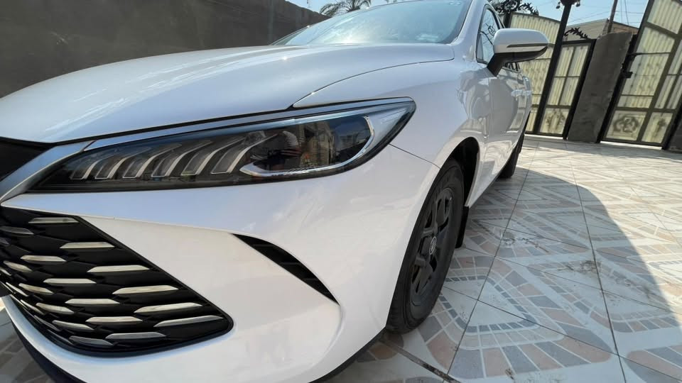 بي واي دي ٢٥ • زيرو بدهن الشركة • ماشية ١٢٠٠