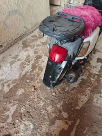 بوليس • مكينه فول • كهربايات فول