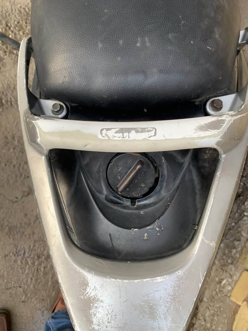 ماكس • ١٤٠ • ثعلب