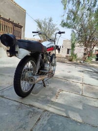 صولي • اوراق • عجل ٢٤